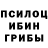 Псилоцибиновые грибы прущие грибы BigTrappo 187