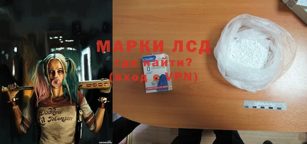 прущие грибы Медвежьегорск