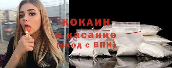 прущие грибы Медвежьегорск