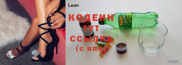 прущие грибы Медвежьегорск