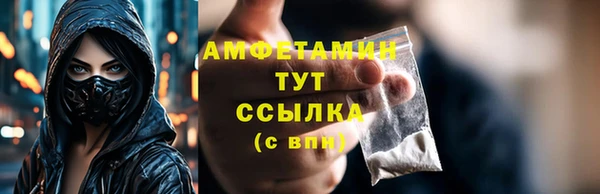 прущие грибы Медвежьегорск