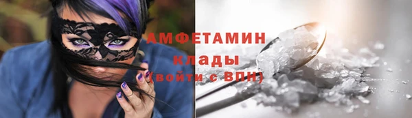 прущие грибы Медвежьегорск