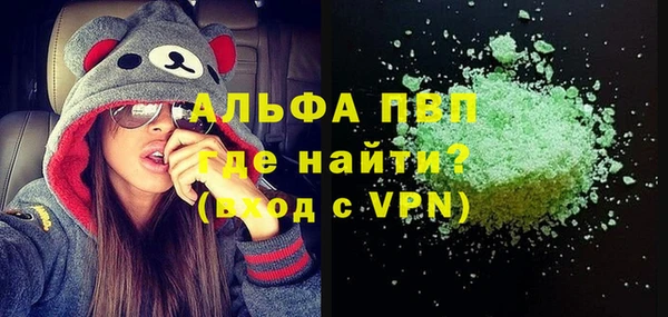 прущие грибы Медвежьегорск