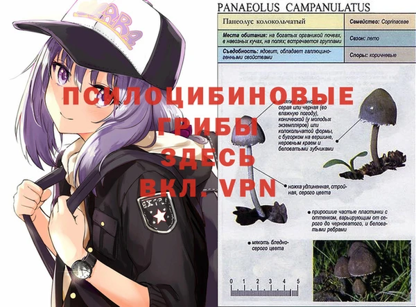 таблы Мегион
