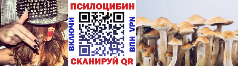 цены наркотик  Благодарный  гидра как зайти  Галлюциногенные грибы Psilocybe 