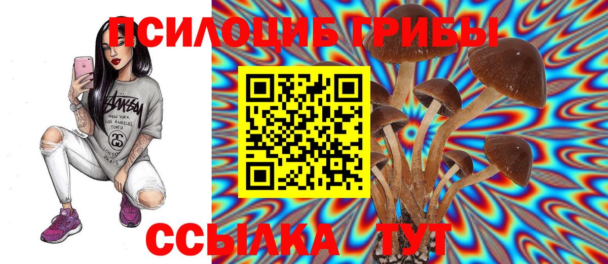Псилоцибиновые грибы MAGIC MUSHROOMS  Вход с VPN  Благодарный 